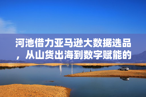 河池借力亚马逊大数据选品，从山货出海到数字赋能的产业升级之路，河池借力亚马逊大数据，山货出海到数字赋能的产业升级