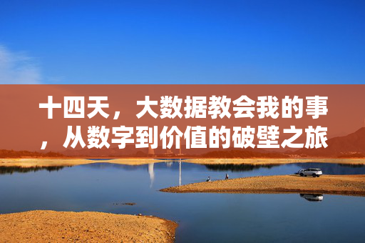 十四天，大数据教会我的事，从数字到价值的破壁之旅，十四天，大数据从数字到价值的破壁之旅