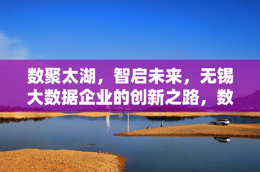数聚太湖，智启未来，无锡大数据企业的创新之路，数聚太湖 智启未来，无锡大数据企业创新之路