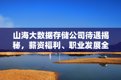 山海大数据存储公司待遇揭秘，薪资福利、职业发展全解析，山海大数据存储公司待遇全解析，薪资福利与职业发展