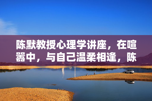 陈默教授心理学讲座，在喧嚣中，与自己温柔相逢，陈默教授，在喧嚣中，与自己温柔相逢