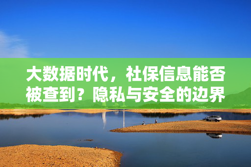 大数据时代，社保信息能否被查到？隐私与安全的边界在哪里，大数据时代社保信息查的边界，隐私与安全
