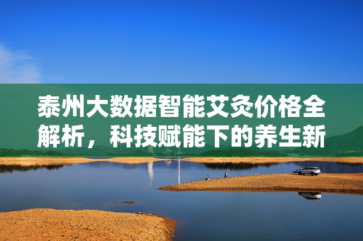 泰州大数据智能艾灸价格全解析，科技赋能下的养生新选择与价值考量，泰州大数据智能艾灸，科技赋能下的价格解析与养生价值