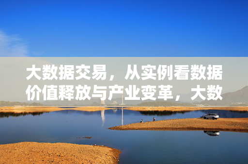 大数据交易，从实例看数据价值释放与产业变革，大数据交易，从实例看数据价值释放与产业变革