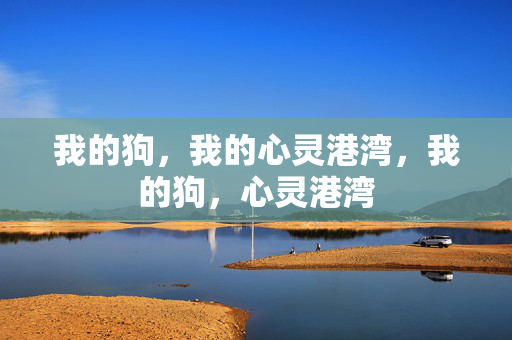 我的狗，我的心灵港湾，我的狗，心灵港湾