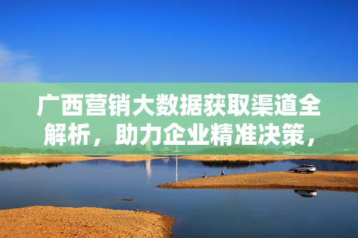 广西营销大数据获取渠道全解析，助力企业精准决策，广西营销大数据获取渠道全解析，助力企业精准决策