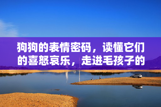 狗狗的表情密码，读懂它们的喜怒哀乐，走进毛孩子的内心世界，狗狗表情密码，解锁毛孩子的内心世界