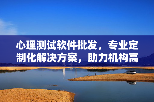心理测试软件批发，专业定制化解决方案，助力机构高效赋能，专业定制化心理测试软件批发，助力机构高效赋能