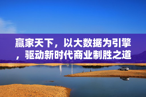 赢家天下，以大数据为引擎，驱动新时代商业制胜之道，赢家天下，大数据引擎驱动新时代商业制胜之道