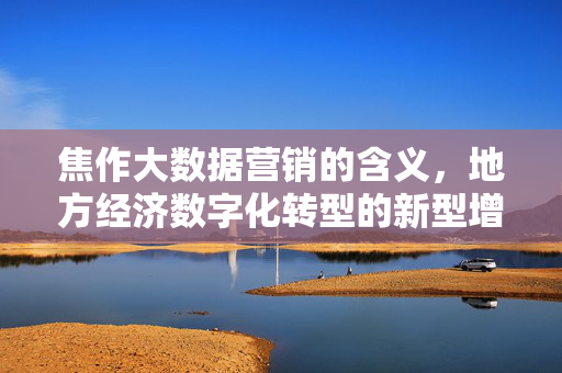 焦作大数据营销的含义，地方经济数字化转型的新型增长引擎，焦作大数据营销，地方经济数字化转型的新型增长引擎