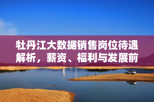 牡丹江大数据销售岗位待遇解析，薪资、福利与发展前景，牡丹江大数据销售岗位待遇解析，薪资福利与发展前景