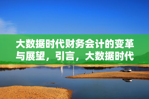 大数据时代财务会计的变革与展望，引言，大数据时代财务会计的变革与展望