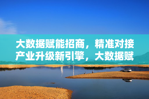 大数据赋能招商，精准对接产业升级新引擎，大数据赋能招商 精准对接产业升级新引擎