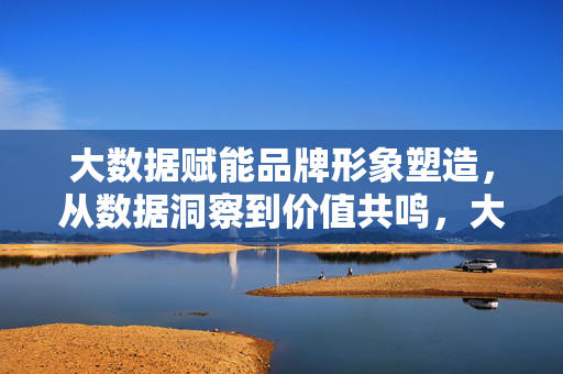 大数据赋能品牌形象塑造，从数据洞察到价值共鸣，大数据驱动品牌形象塑造，从洞察到价值共鸣