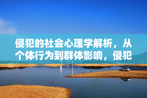 侵犯的社会心理学解析，从个体行为到群体影响，侵犯的社会心理学解析，从个体行为到群体影响