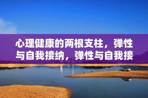心理健康的两根支柱，弹性与自我接纳，弹性与自我接纳，心理健康的两大支柱