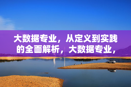 大数据专业，从定义到实践的全面解析，大数据专业，从定义到实践的全面解析