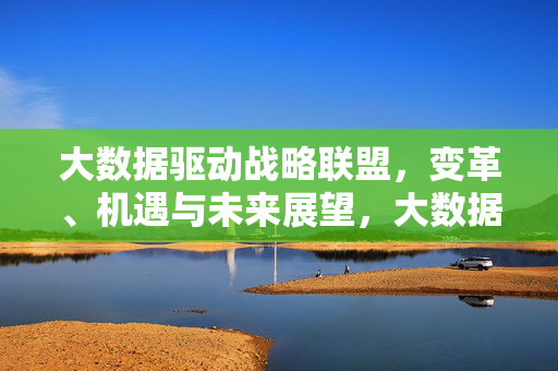 大数据驱动战略联盟，变革、机遇与未来展望，大数据驱动战略联盟，变革、机遇与未来展望