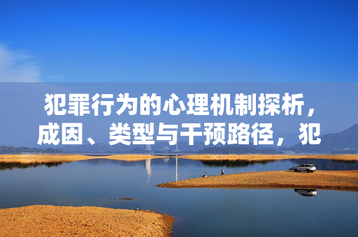犯罪行为的心理机制探析，成因、类型与干预路径，犯罪行为的心理机制，成因、类型与干预路径探析