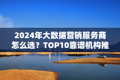 2024年大数据营销服务商怎么选？TOP10靠谱机构推荐及避坑指南，2024大数据营销服务商选择指南，TOP10靠谱机构推荐及避坑