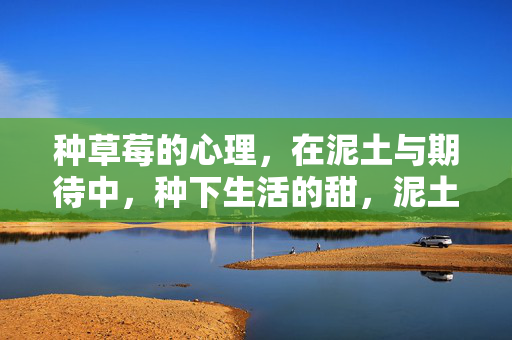 种草莓的心理，在泥土与期待中，种下生活的甜，泥土种草莓，生活酿甜