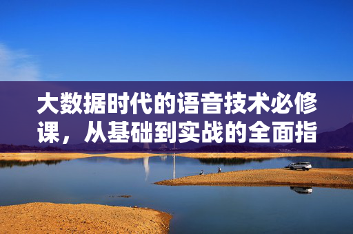 大数据时代的语音技术必修课，从基础到实战的全面指南，大数据时代的语音技术，从基础到实战的全面指南