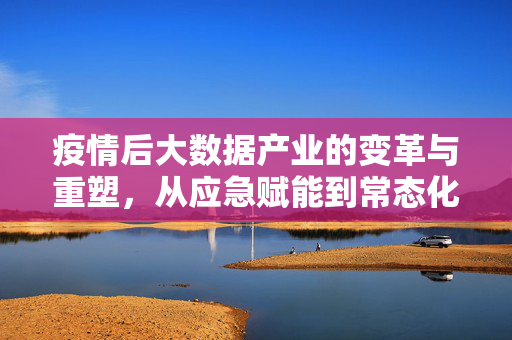疫情后大数据产业的变革与重塑，从应急赋能到常态化深耕，疫情后大数据产业的变革重塑，从应急赋能到常态化深耕