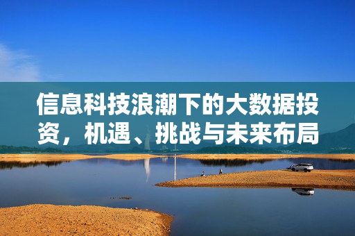 信息科技浪潮下的大数据投资，机遇、挑战与未来布局，信息科技浪潮下的大数据投资，机遇、挑战与未来布局