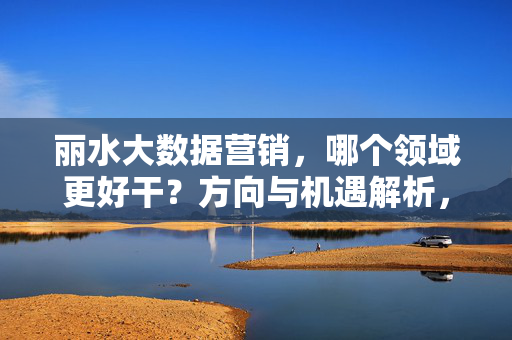 丽水大数据营销，哪个领域更好干？方向与机遇解析，丽水大数据营销，哪个领域更值得干？方向与机遇解析