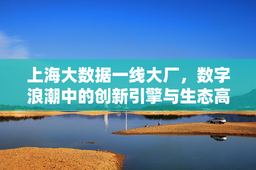 上海大数据一线大厂，数字浪潮中的创新引擎与生态高地，上海大数据一线大厂，数字浪潮的创新引擎与生态高地