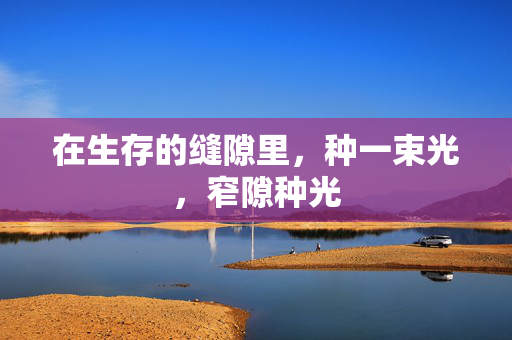 在生存的缝隙里，种一束光，窄隙种光