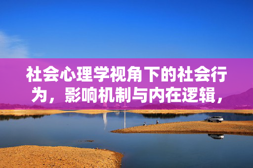 社会心理学视角下的社会行为，影响机制与内在逻辑，社会心理学视角下的社会行为，影响机制与内在逻辑