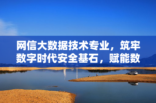 网信大数据技术专业，筑牢数字时代安全基石，赋能数据价值新未来，网信大数据技术专业，筑牢数字安全基石，赋能数据价值未来