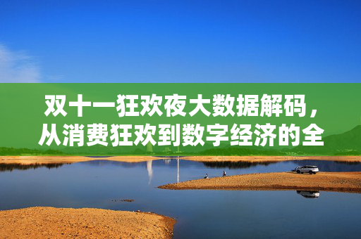 双十一狂欢夜大数据解码，从消费狂欢到数字经济的全景透视，双十一狂欢夜大数据解码，消费狂欢与数字经济的全景透视