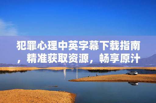 犯罪心理中英字幕下载指南，精准获取资源，畅享原汁原味剧情，犯罪心理中英字幕下载指南，精准获取资源，畅享原汁原味剧情