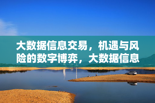 大数据信息交易，机遇与风险的数字博弈，大数据信息交易，机遇与风险的数字博弈