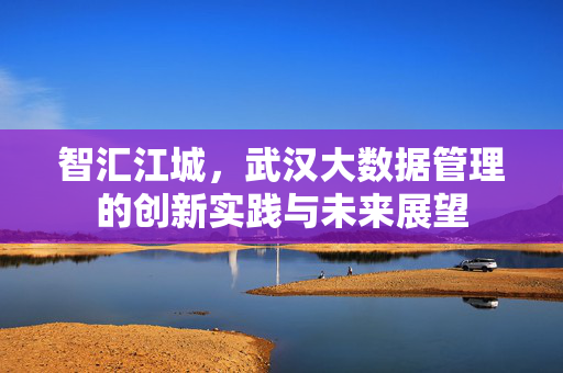 智汇江城，武汉大数据管理的创新实践与未来展望