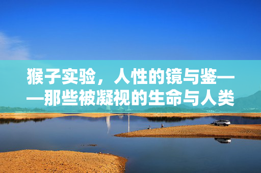 猴子实验，人性的镜与鉴——那些被凝视的生命与人类的自我认知，猴子实验，人性的镜鉴与凝视中的自我认知