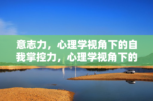 意志力，心理学视角下的自我掌控力，心理学视角下的意志力，自我掌控力
