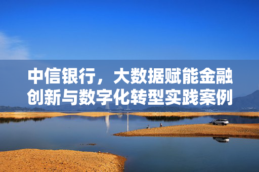 中信银行，大数据赋能金融创新与数字化转型实践案例，中信银行大数据赋能金融创新与数字化转型实践案例