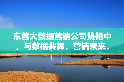 东营大数据营销公司热招中，与数据共舞，营销未来，东营大数据营销热招，与数据共舞，营销未来
