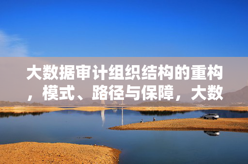 大数据审计组织结构的重构，模式、路径与保障，大数据审计组织结构重构，模式、路径与保障