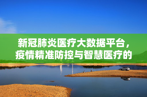 新冠肺炎医疗大数据平台，疫情精准防控与智慧医疗的基石，新冠肺炎医疗大数据平台，疫情精准防控与智慧医疗的基石