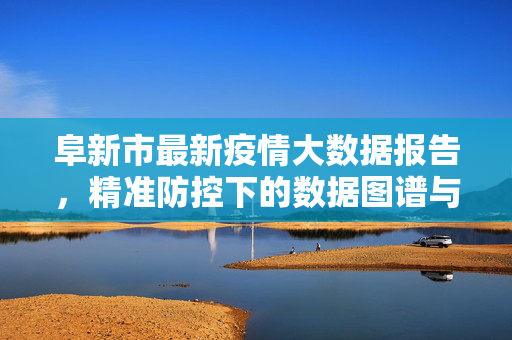 阜新市最新疫情大数据报告，精准防控下的数据图谱与动态趋势，阜新市精准防控疫情大数据报告，数据图谱与动态趋势