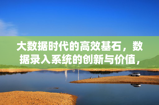 大数据时代的高效基石，数据录入系统的创新与价值，数据录入系统，大数据时代的高效基石与创新价值