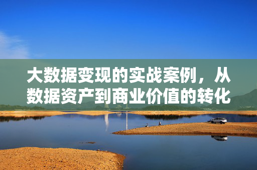 大数据变现的实战案例，从数据资产到商业价值的转化路径，大数据变现实战案例，从数据资产到商业价值的转化路径