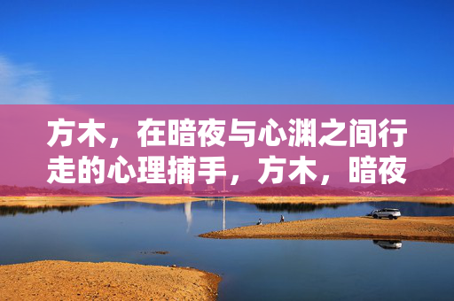 方木，在暗夜与心渊之间行走的心理捕手，方木，暗夜心渊行走的心理捕手