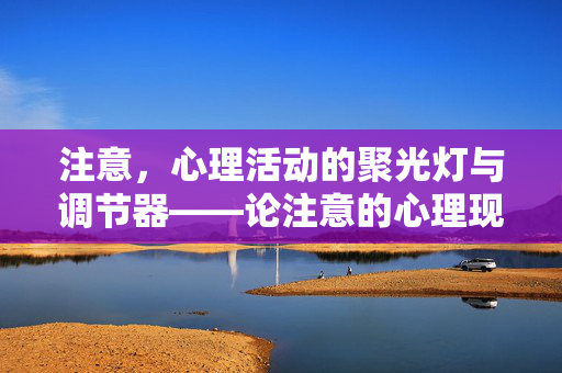 注意，心理活动的聚光灯与调节器——论注意的心理现象归属，注意，心理活动的聚光灯与调节器——现象归属论