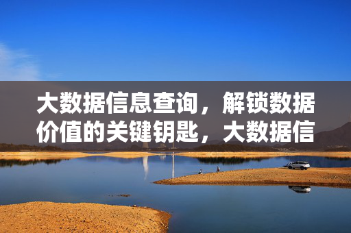 大数据信息查询，解锁数据价值的关键钥匙，大数据信息查询，解锁数据价值的关键钥匙