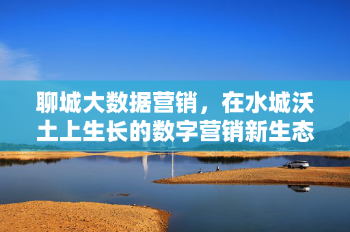 聊城大数据营销，在水城沃土上生长的数字营销新生态，聊城大数据营销，水城沃土上的数字营销新生态